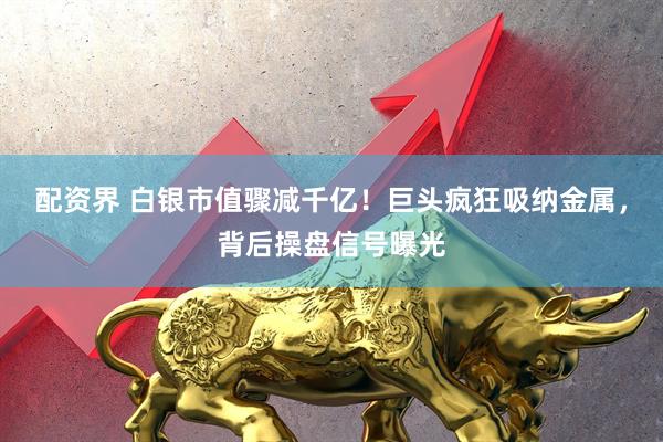 配资界 白银市值骤减千亿！巨头疯狂吸纳金属，背后操盘信号曝光